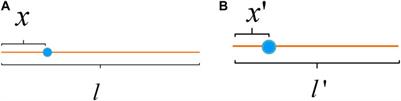 The Thermal Conductivity Coefficient of a Square Thermal Invisibility Cloak Cell and Its Application in Periodic Plate